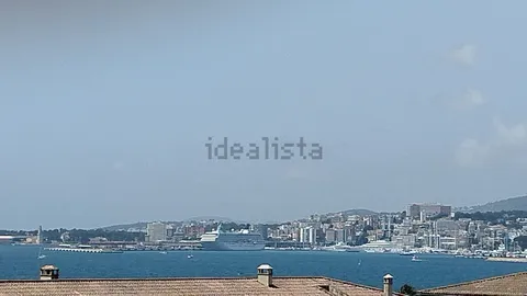 Stanza in affitto, Palma