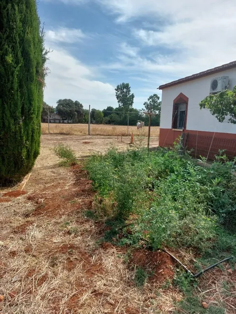 Casa de 85 m² a Argamasilla de Calatrava