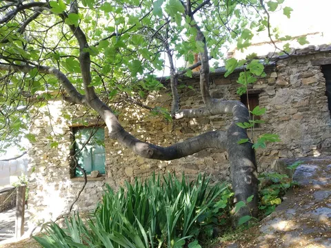 Квартира 120 м² у Cáñar