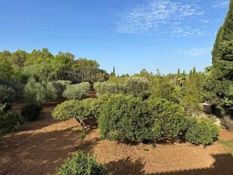 Pis de 614 m² a Sencelles