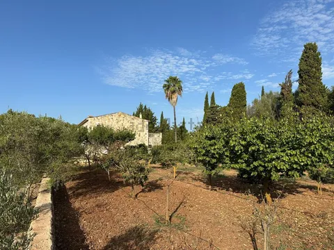 Pis de 614 m² a Sencelles