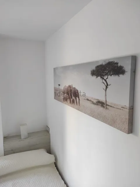 Stanza in affitto, Saragozza
