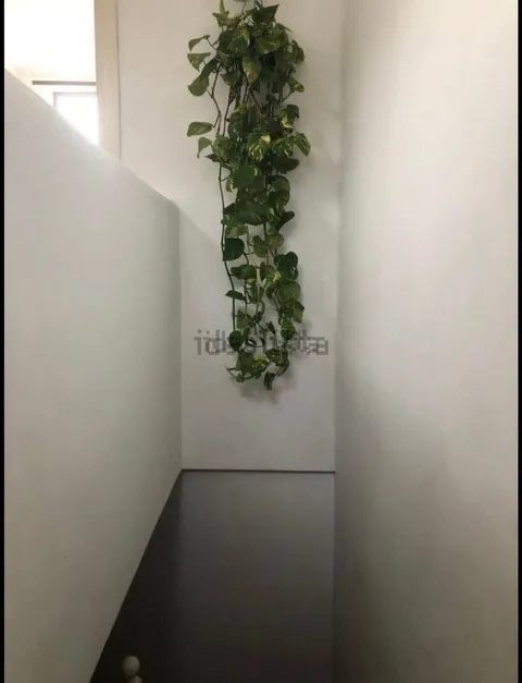 Zimmer zur Miete, Granada