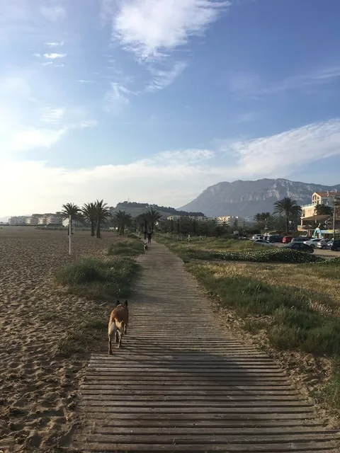 Pis de 63 m² a Dénia