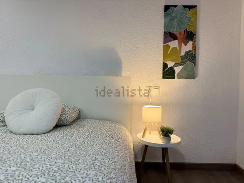 Habitació de lloguer, Elx