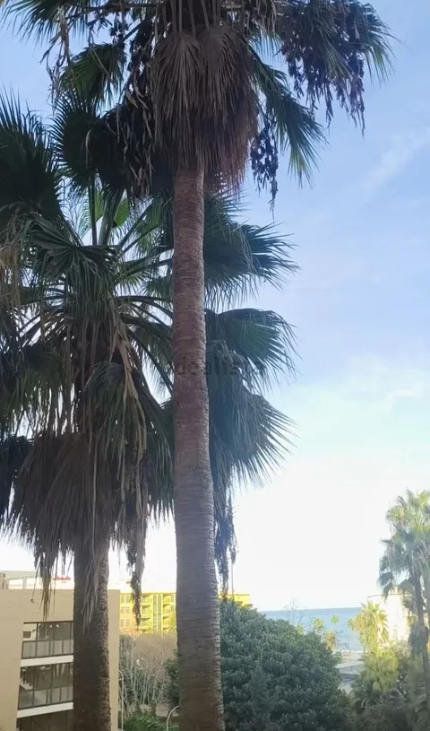 Pis de 75 m² a Torremolinos