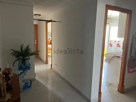 Stanza in affitto, Palma