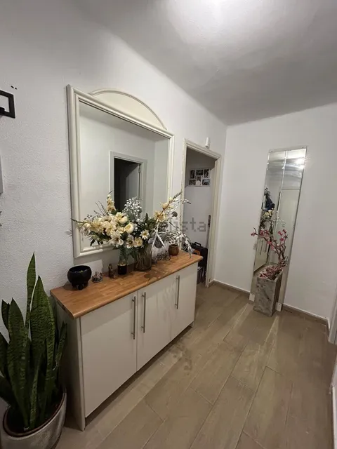 Habitació de lloguer, Palma