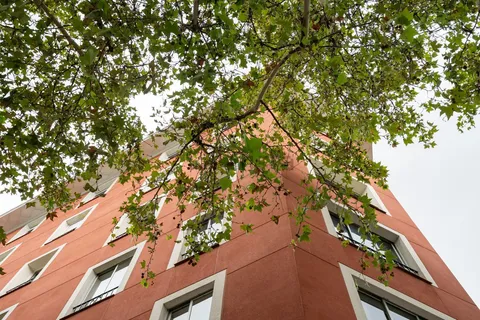 Stanza in affitto, Madrid