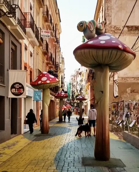 Habitació de lloguer, Alacant