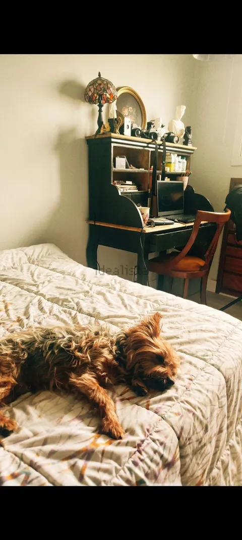Quarto para alugar, San Sebastián (4/8)