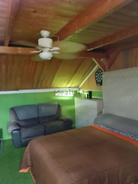 Habitació de lloguer, Oriola