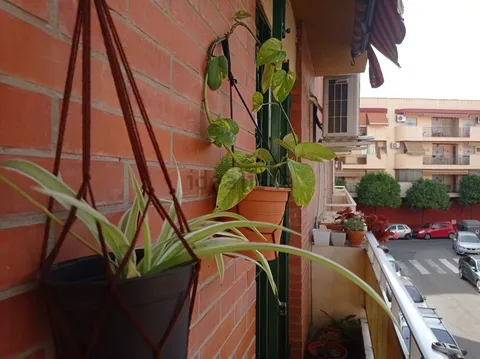 Habitació de lloguer, Sevilla