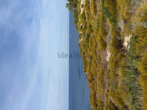 Stanza in affitto, Sant Antoni de Portmany
