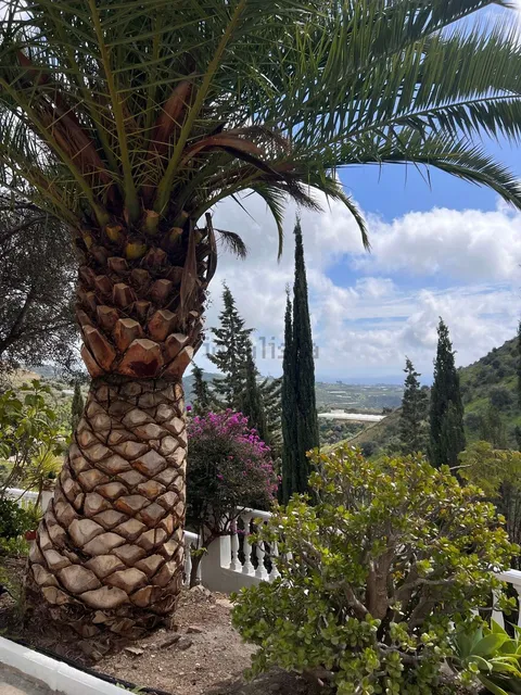 Pis de 61 m² a Algarrobo