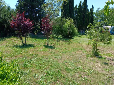 Habitació de lloguer, Tortosa