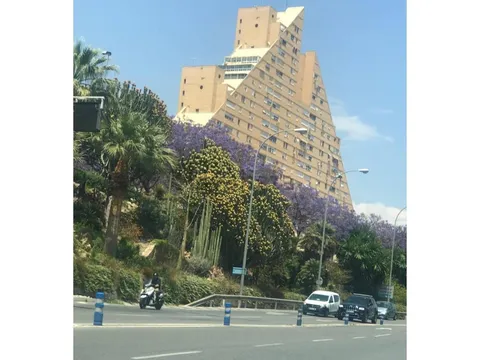 Habitació de lloguer, Alacant (3/12)