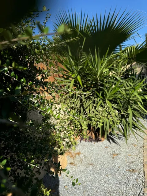 Casa de 218 m² en Sencelles