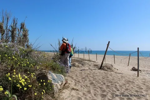 Appartamento 81 m² a Canet de Mar