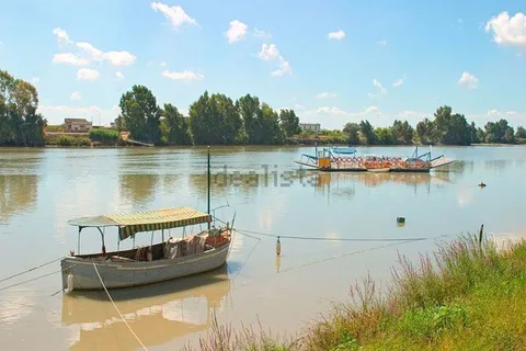 Stanza in affitto, Coria del Río
