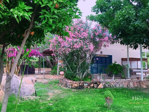 Casa 150 m² a Sant Joan de Labritja (4/19)