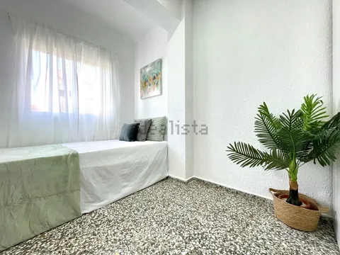 Habitació de lloguer, Alacant