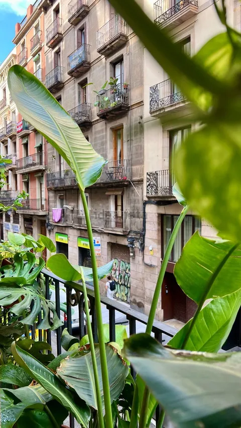 Habitación en alquiler, Barcelona