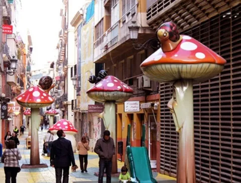 Habitació de lloguer, Alacant
