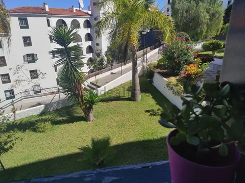 Habitació de lloguer, Puerto de la Cruz