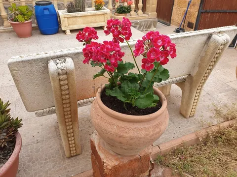 Habitación en alquiler, Molina de Segura