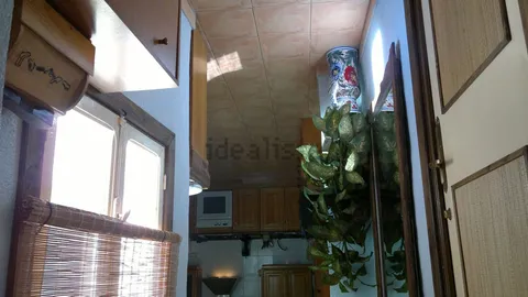 Stanza in affitto, Elx / Elche