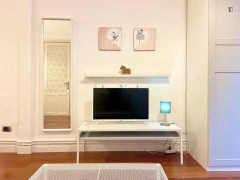 Habitació de lloguer, Bilbao