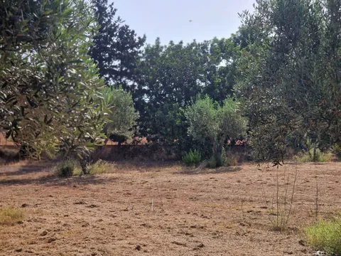 Appartamento 150 m² a Son Servera