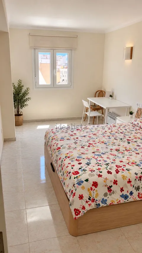 Stanza in affitto, Palma