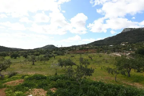 Pis de 310 m² a Felanitx