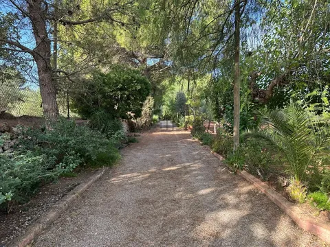 Pis de 614 m² a Sencelles