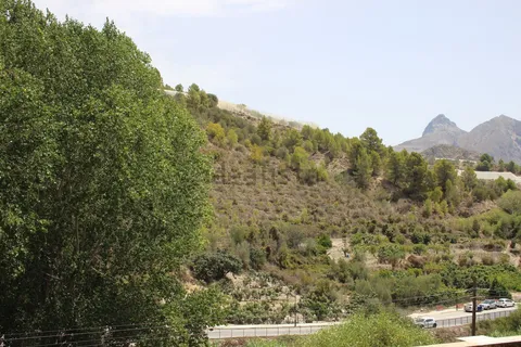 Habitació de lloguer, Bolulla