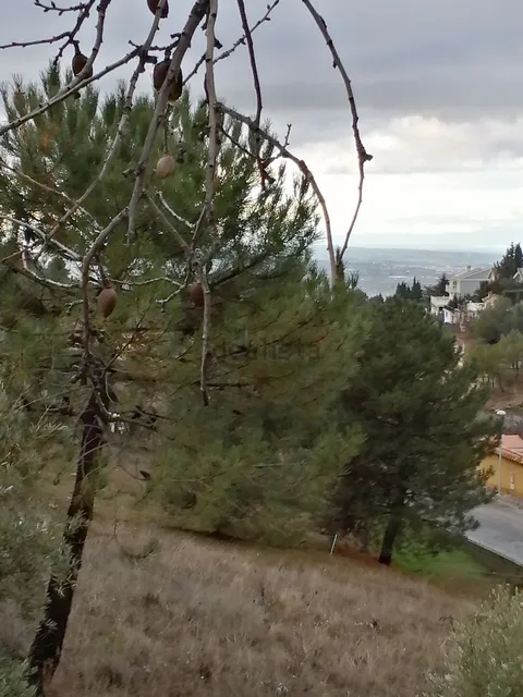 Комната в аренду, La Zubia (4/4)