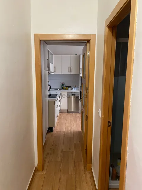 Habitació de lloguer, Almeria
