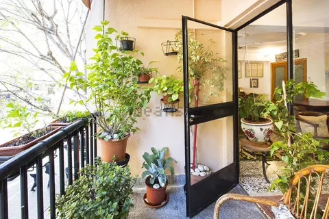 Habitació de lloguer, Palma