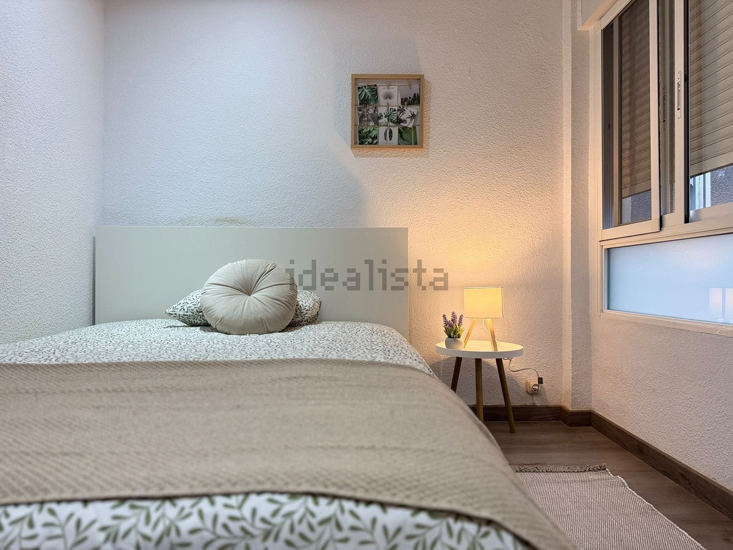 Habitació de lloguer, Elx