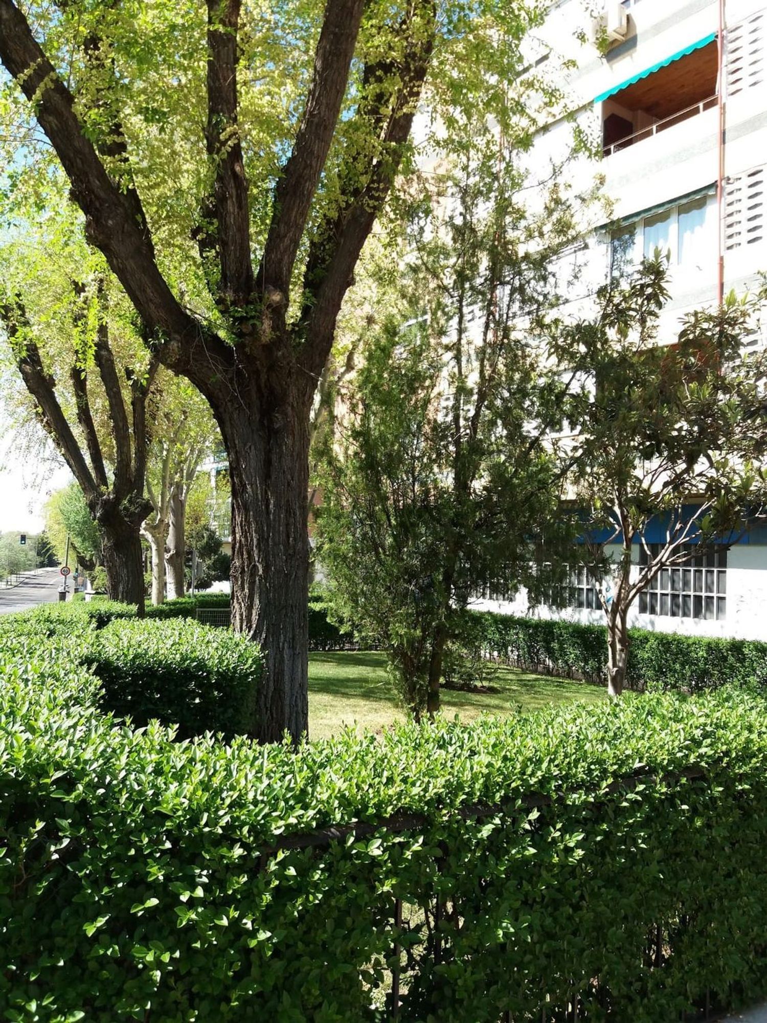 Habitación en alquiler, Madrid