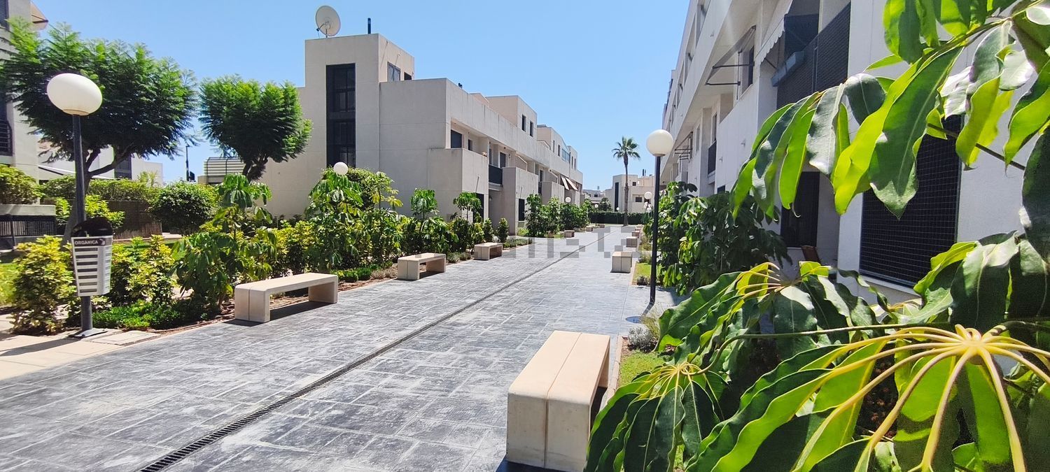 Pis de 250 m² a Alacant