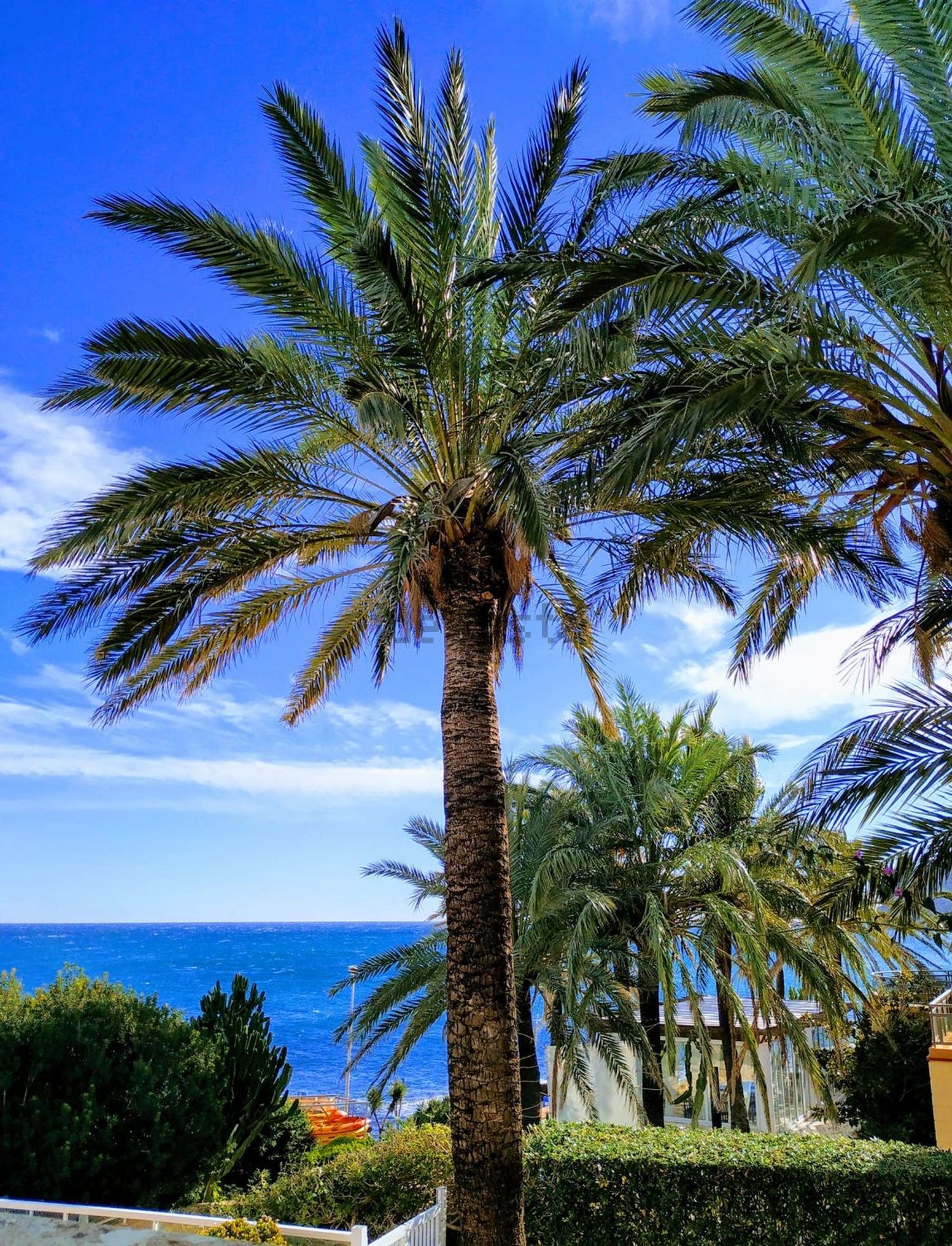 Piso de 82 m² en Dénia