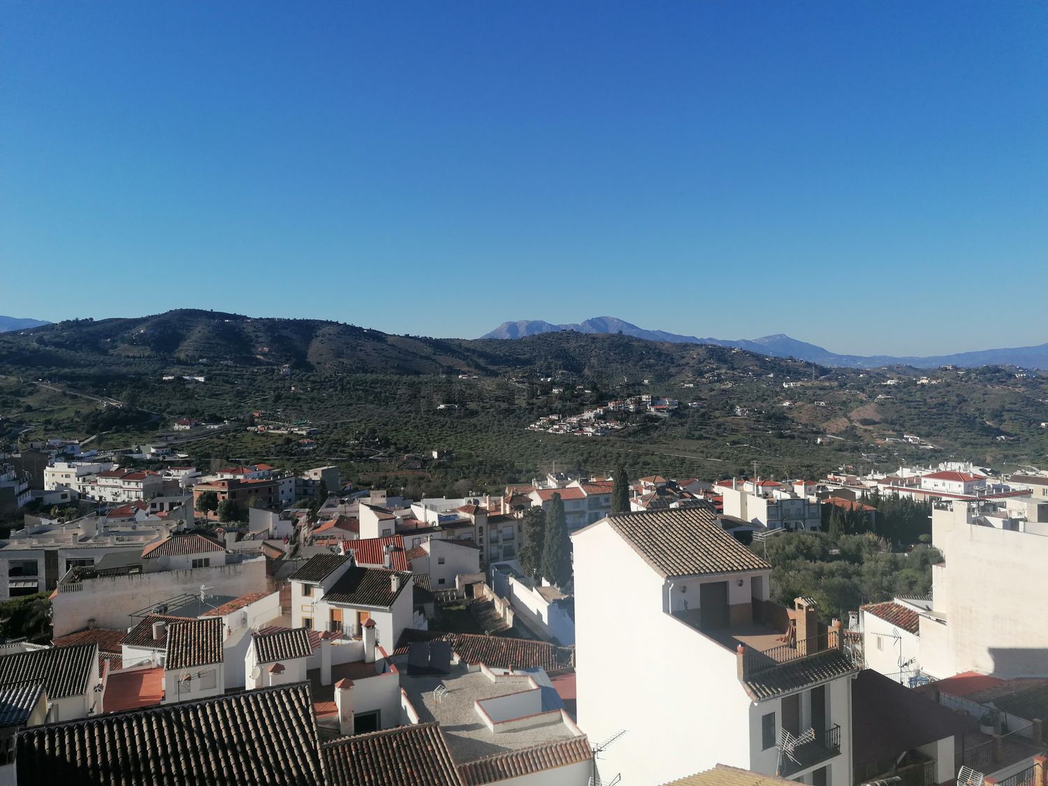 Room for rent, Monda
