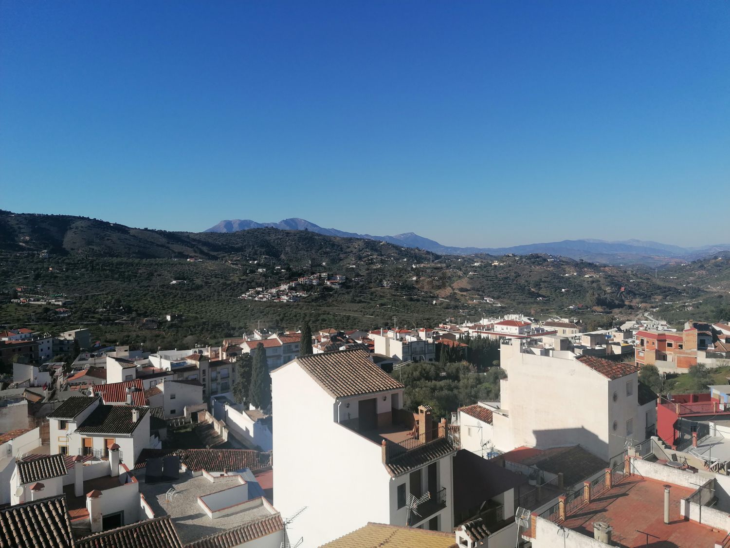 Room for rent, Monda