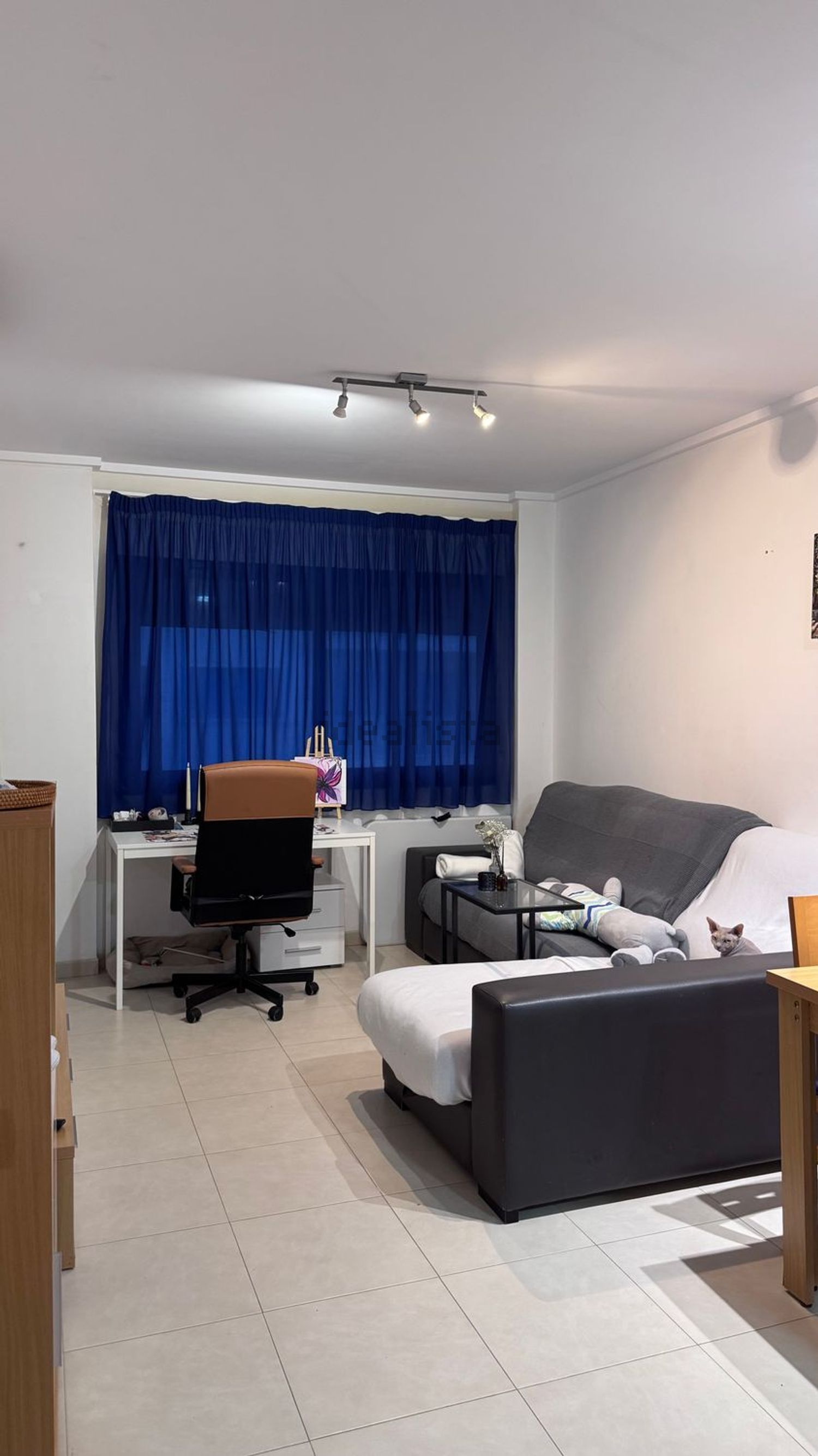 Habitació de lloguer, Alacant