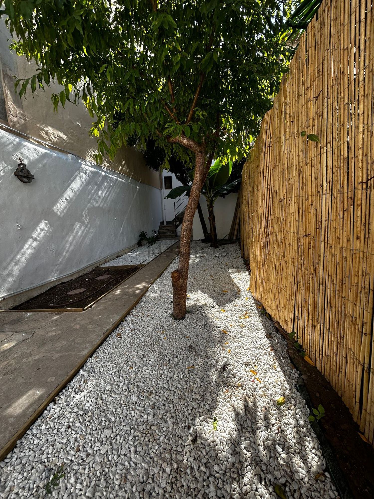 Habitació de lloguer, Palma