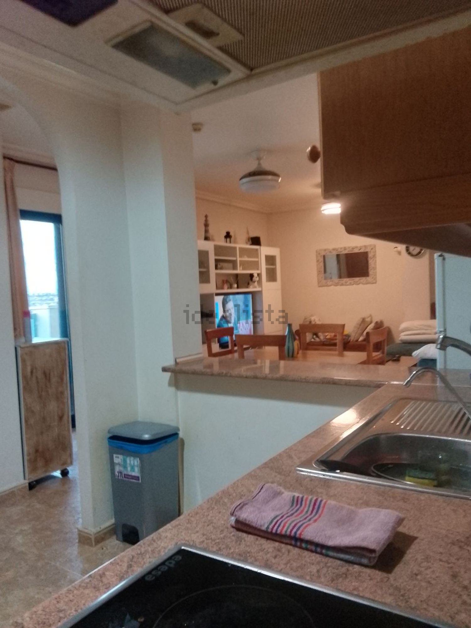 Habitació de lloguer, Oriola