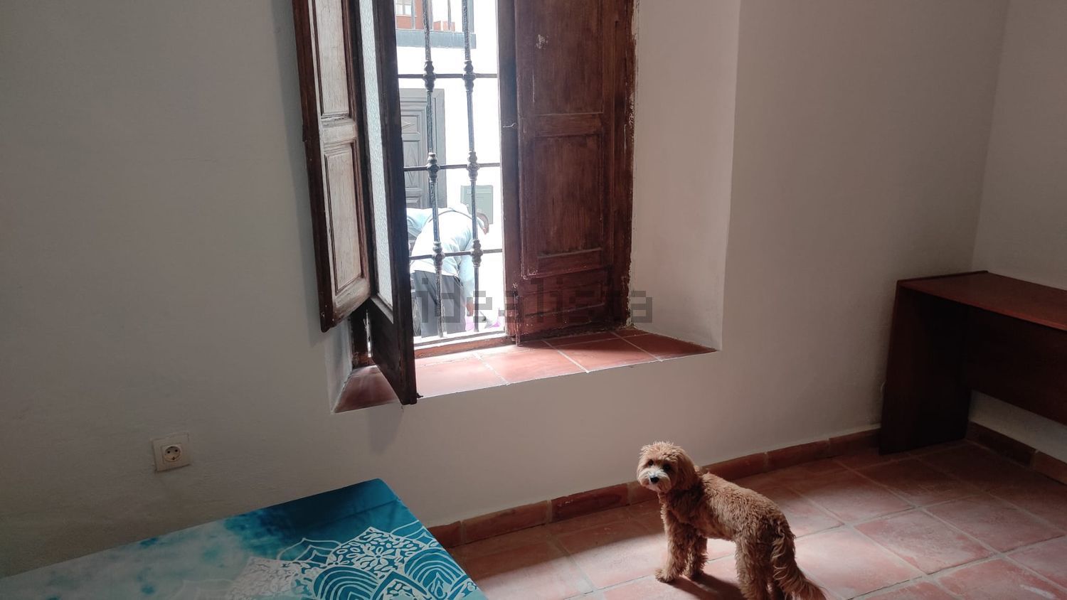 Habitación en alquiler, Granada